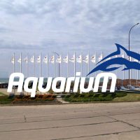 Aquarium - MDQ